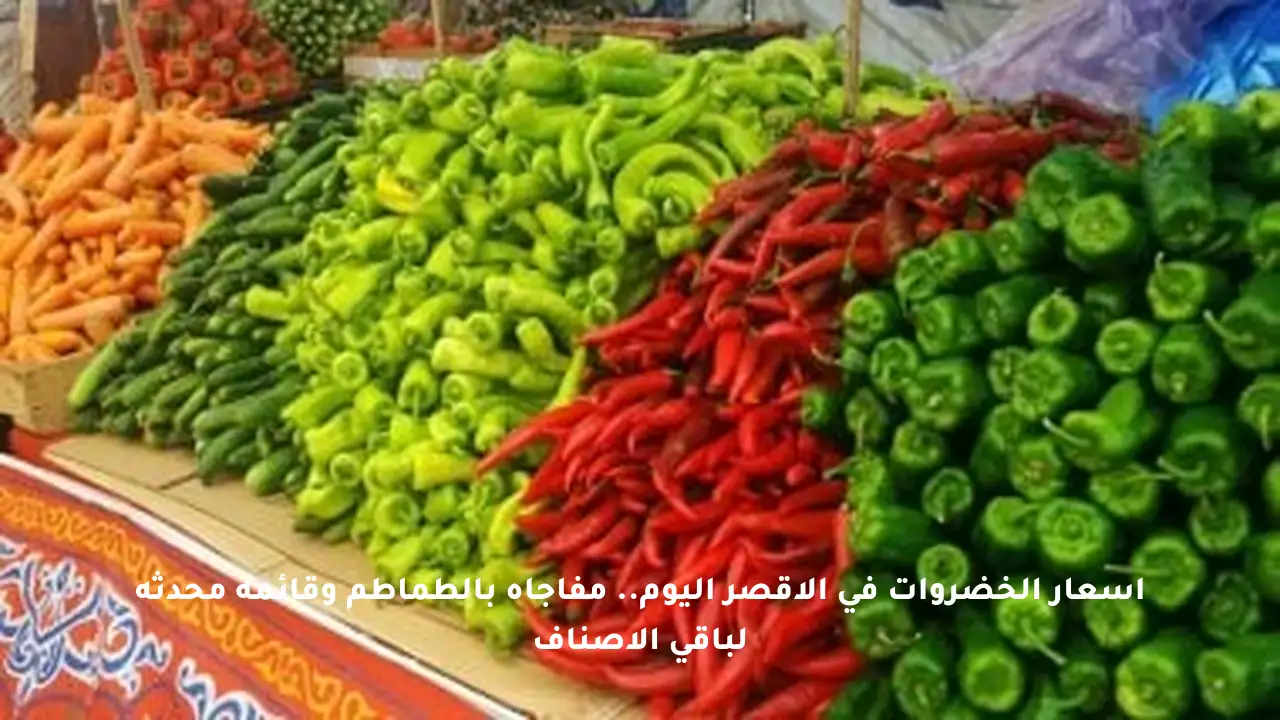 أسعار الخضروات في الأقصر اليوم.. مفاجأة بالطماطم وقائمة محدثة لباقي الأصناف